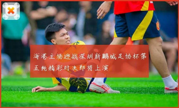 海港主场迎战深圳新鹏城足协杯第五轮精彩对决即将上演