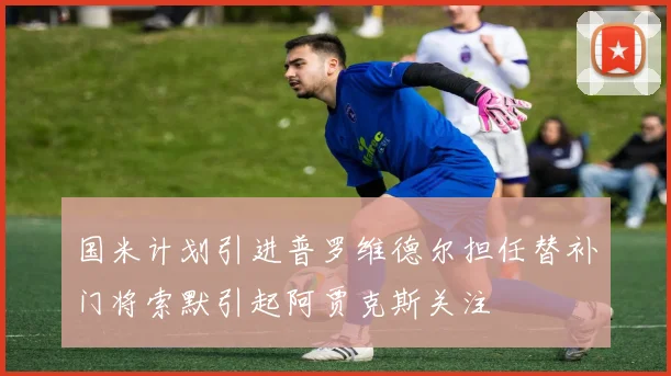 国米计划引进普罗维德尔担任替补门将索默引起阿贾克斯关注